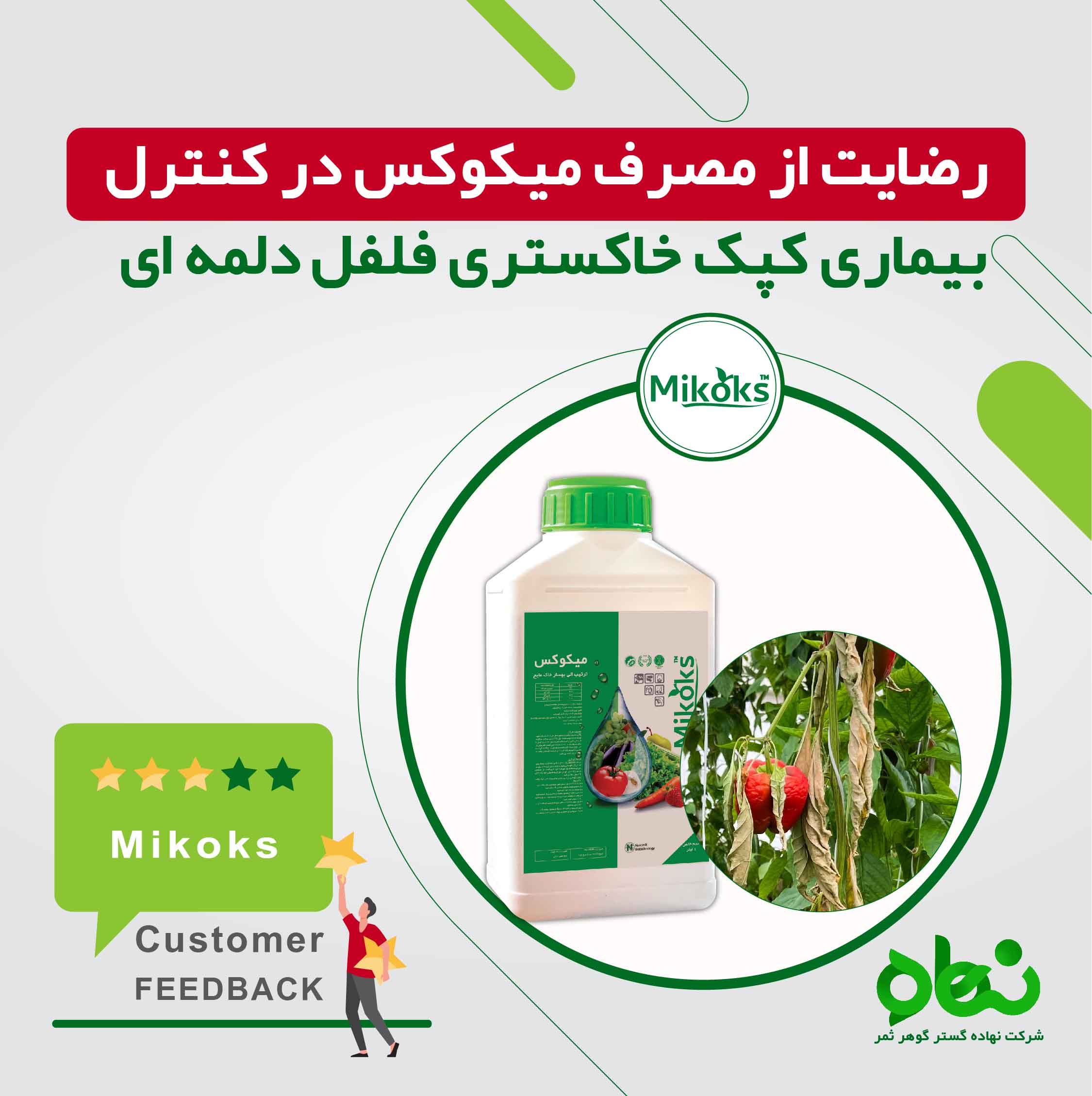 رضایت از مصرف میکوکس در کنترل بیماری کپک خاکستری فلفل دلمه ای 